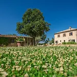 Casa Eugenia 8, Emma *